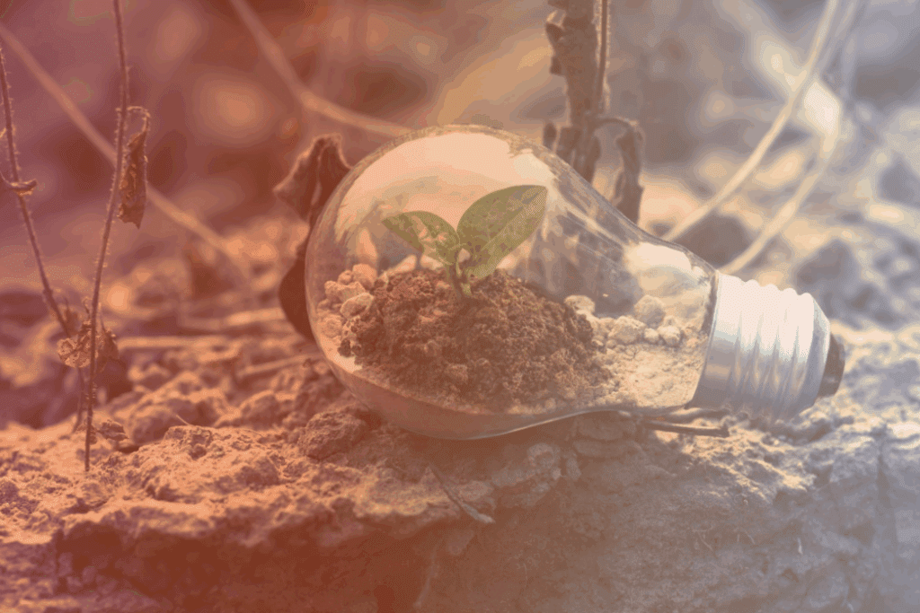Why Recruitment Agencies Should Pay More Attention To Green Industries